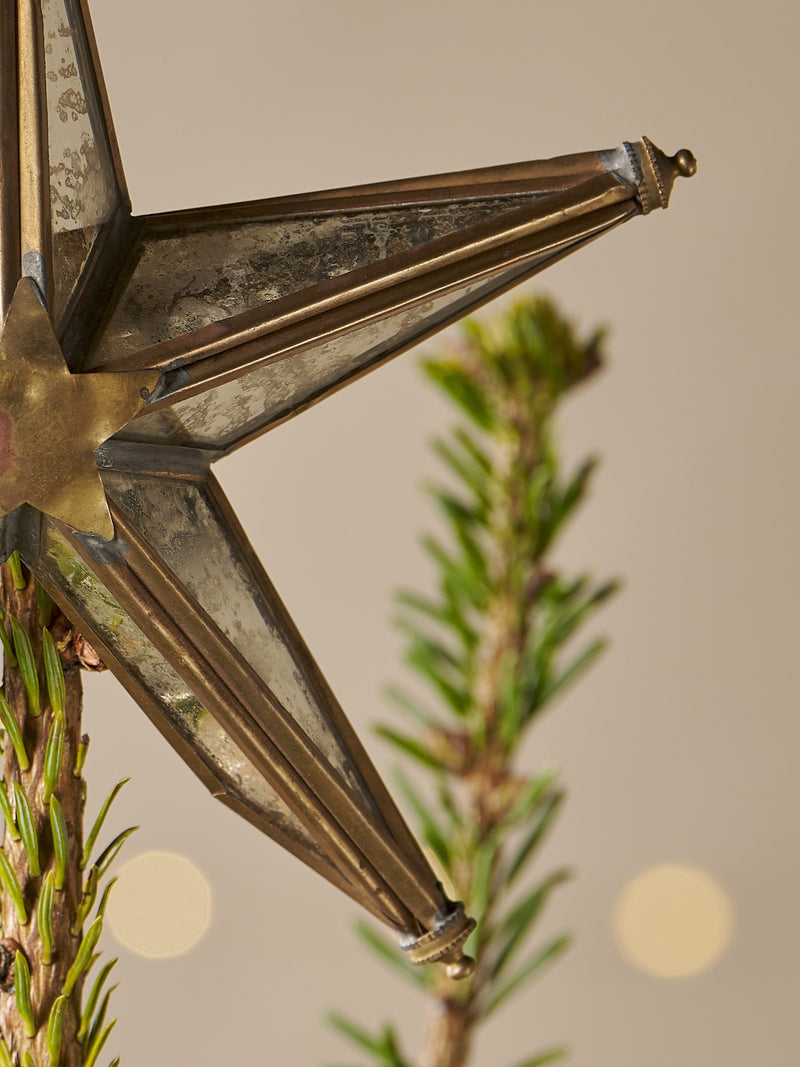 Decorative gold star tree topper ornament by THATCH Living on a branch with a neutral background
