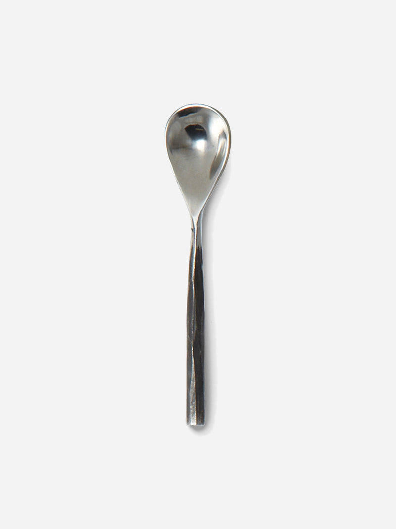 stainless steel salt spoon on white background