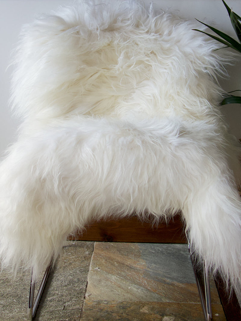 Natural White Icelandic Nº02218