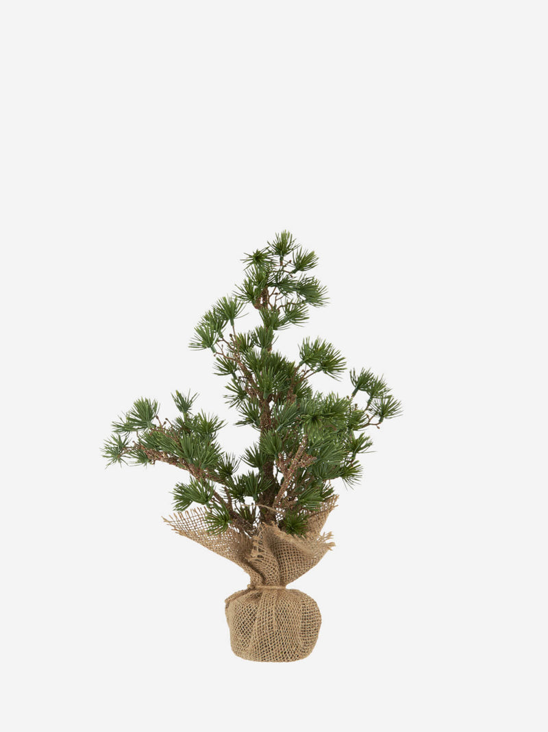 Small Artificial Cedar Tree