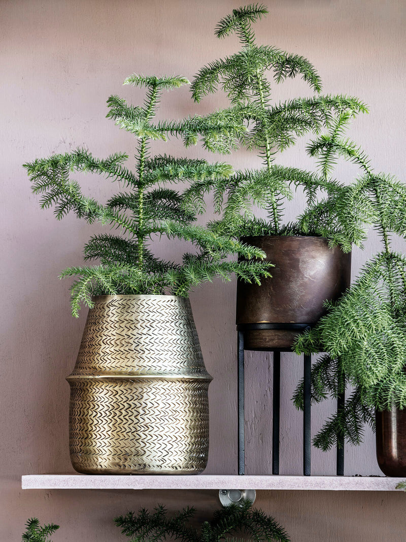 Hyde Brass Planter Small