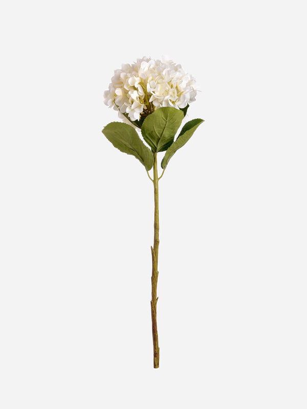 Extra Large White Hydrangea