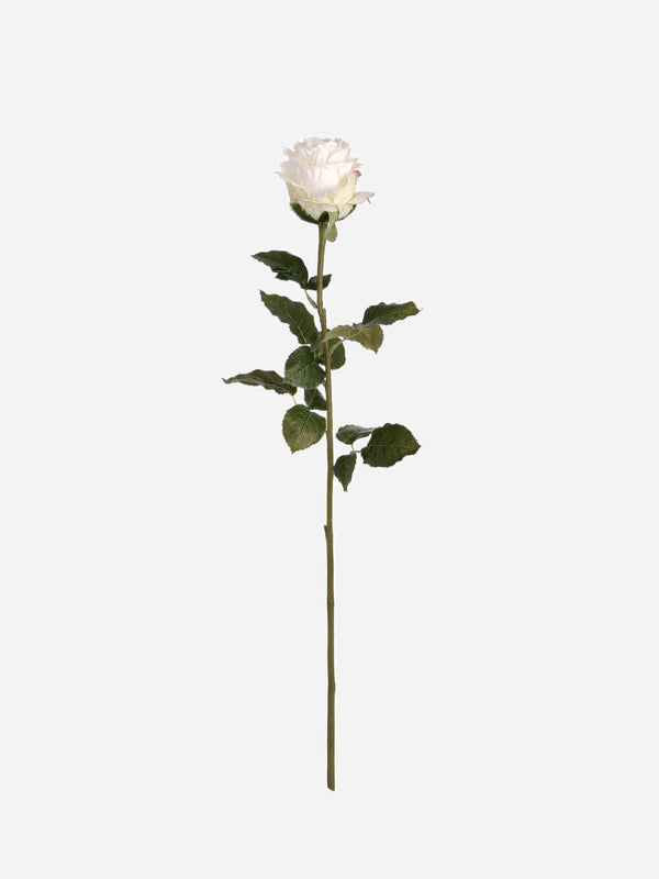 Large Traditional White Rose Bud