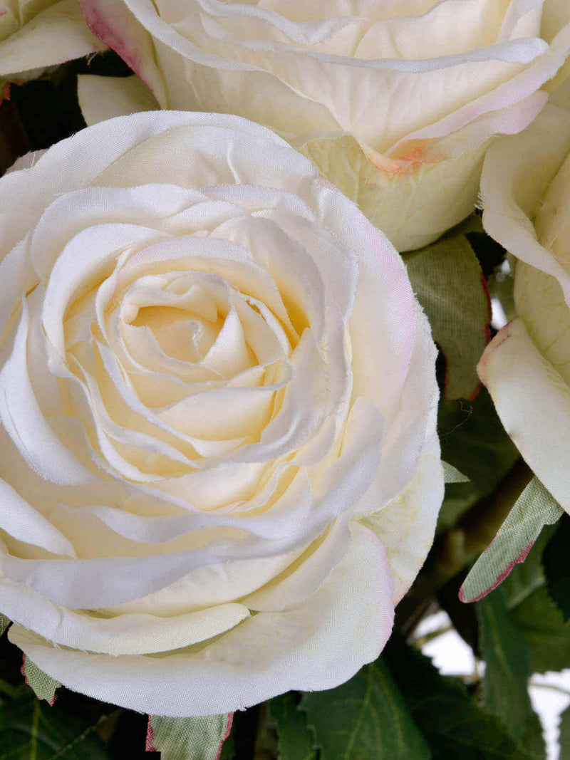 Large Traditional White Rose Bud